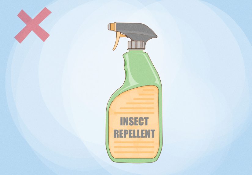 4 Ways to Keep Bees Away
