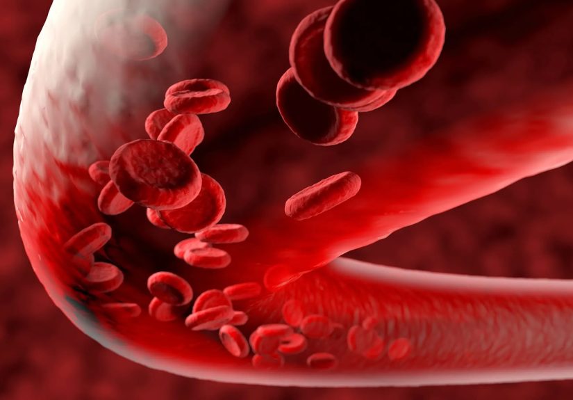 COPD: How the Disease Affects Your Body