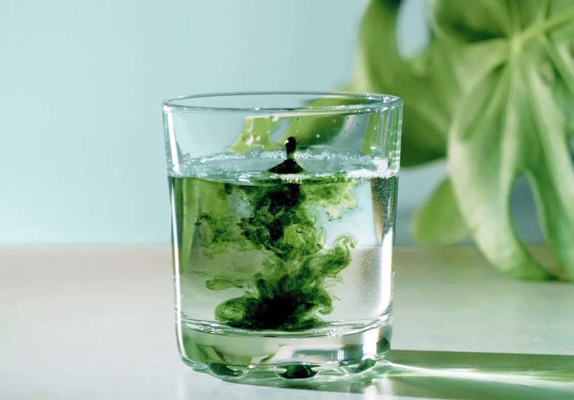 Drinking Liquid Chlorophyll: Side Effects and Potential Risks