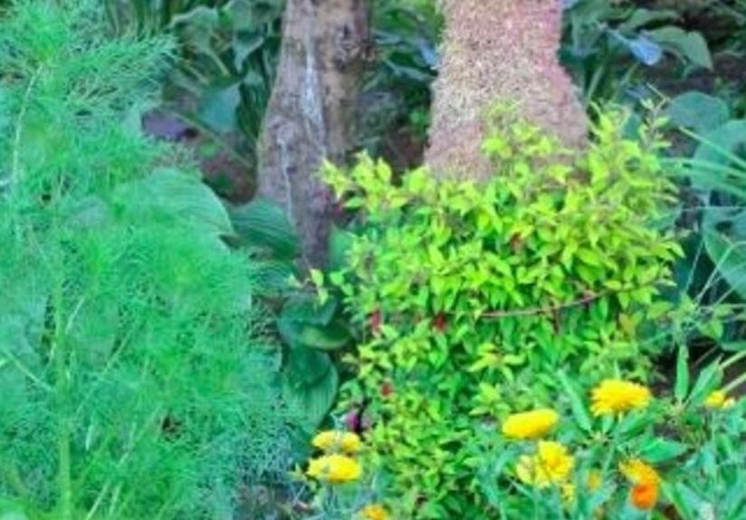Garden Art Girl