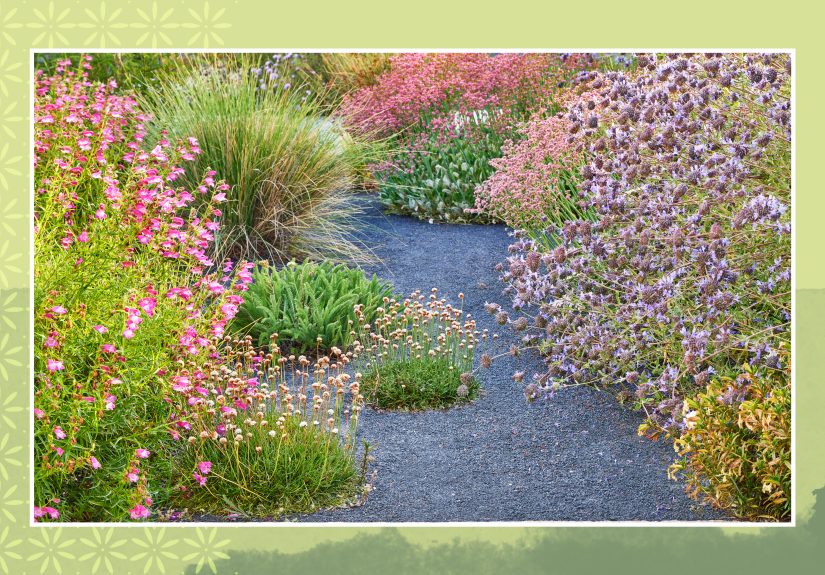 Grow Your Best Garden Ever
