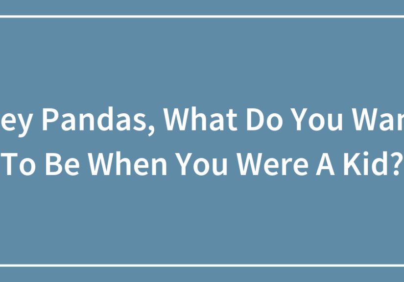 Hey Pandas, What Do You Want To Be When You Were A Kid?