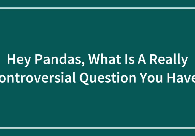 Hey Pandas, What Is A Really Controversial Question You Have? (Closed)