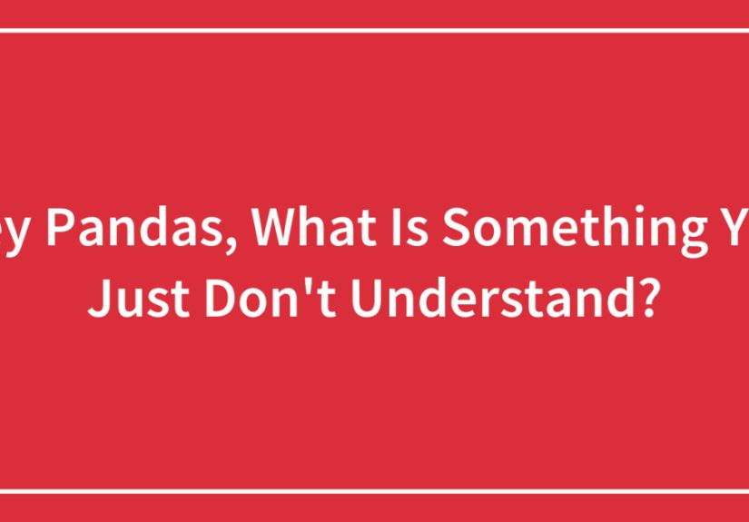 Hey Pandas, What Is Something You Just Don’t Understand? (Closed)