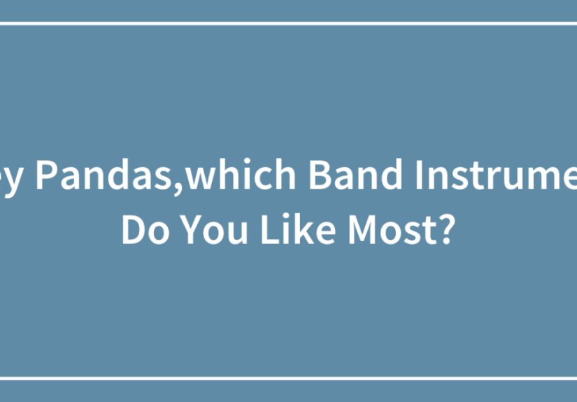 Hey Pandas,which Band Instrument Do You Like Most?