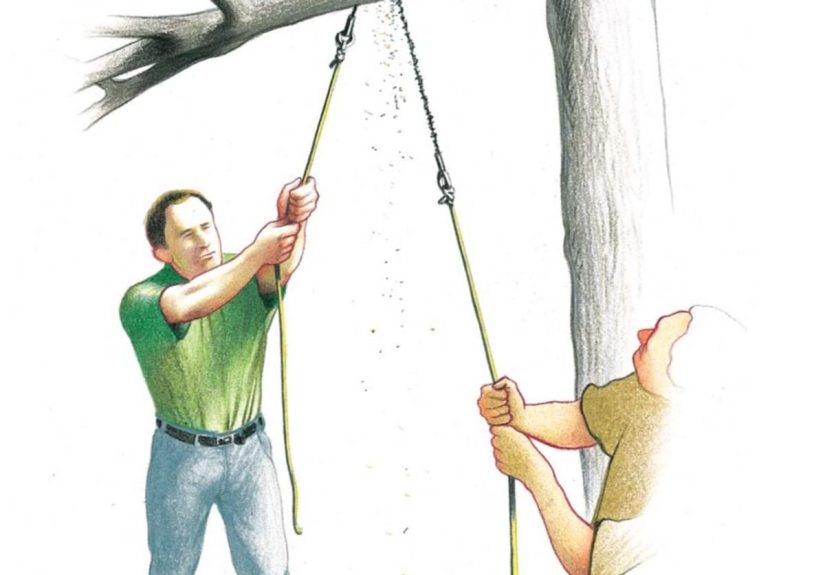 High-Flying Tree Limb Cutter  The Family Handyman