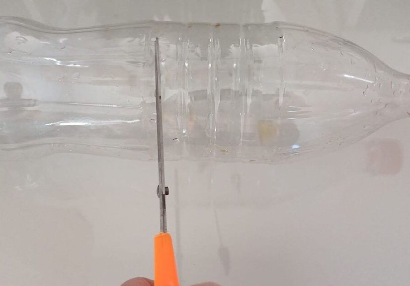 How to Make a Homemade Fly Trap With Honey and Dish Soap