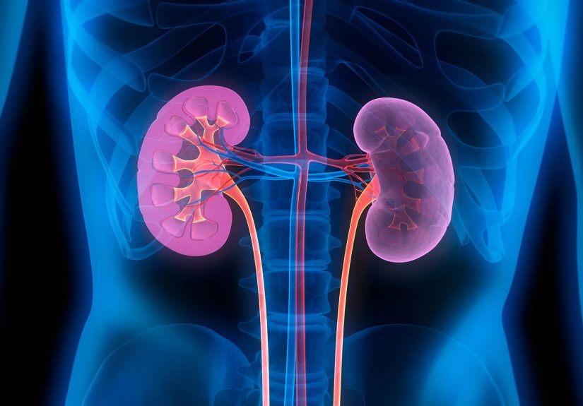 Kidney Disease: Causes, Symptoms, Treatment, and Prevention