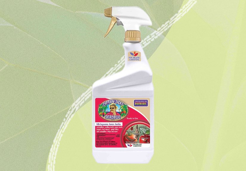 The 7 Best Insecticides of 2025