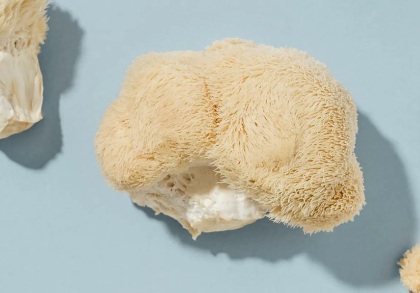 What Is Lion’s Mane Mushroom? Health Benefits, Risks, More