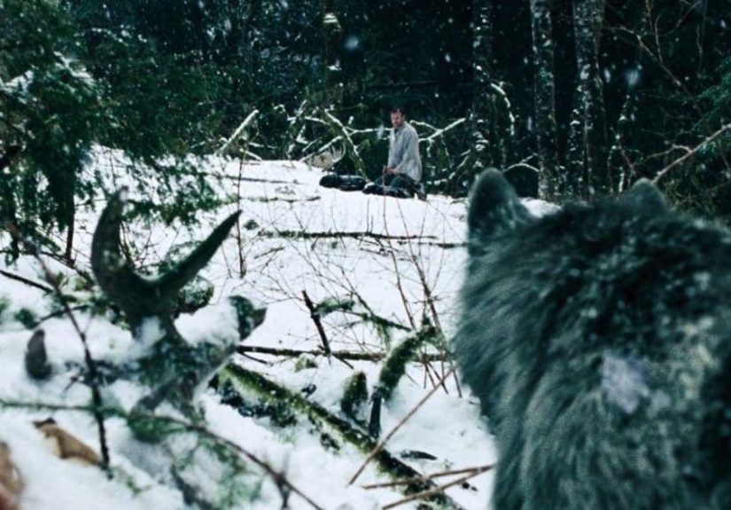 19 Underrated Movies Where Animals Are the Villain