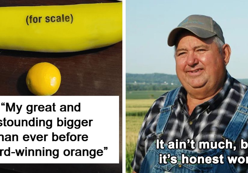 30 Times People Tried Their Hand At Gardening And Ended Up Hilariously Disappointed (New Pics)