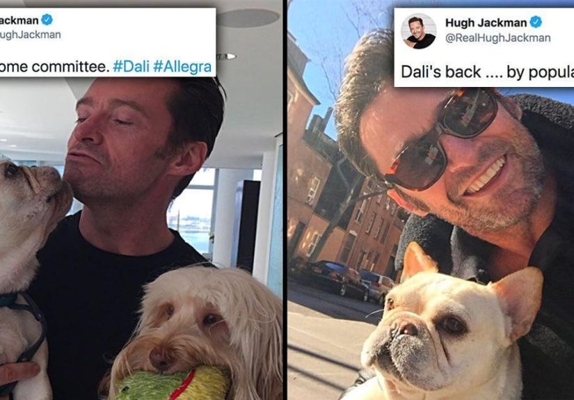 31 Hugh Jackman Tweets That Showcase How Wolverine Is The Most Wholesome Dog Dad