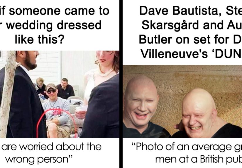 45 Ridiculously Funny Memes To Scroll Through When You’re Having One Of Those Days