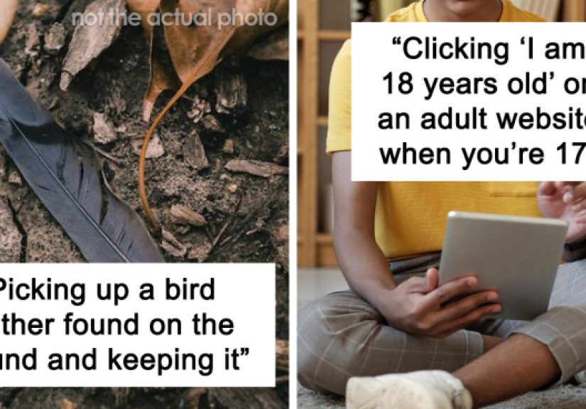“Believe It Or Not, It’s A Crime”: 35 Examples Of Victimless Crimes