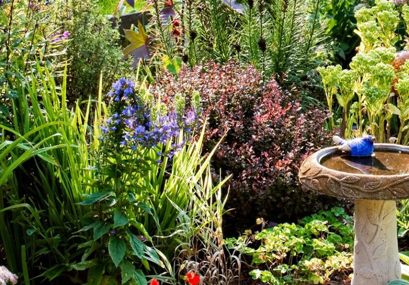 Birdhouses & Birdbaths