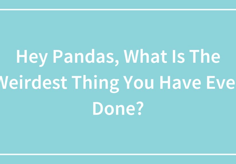Hey Pandas, What Is The Weirdest Thing You Have Ever Done?