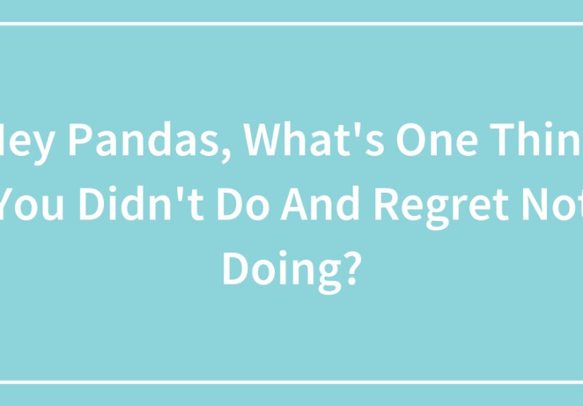 Hey Pandas, What’s One Thing You Didn’t Do And Regret Not Doing?