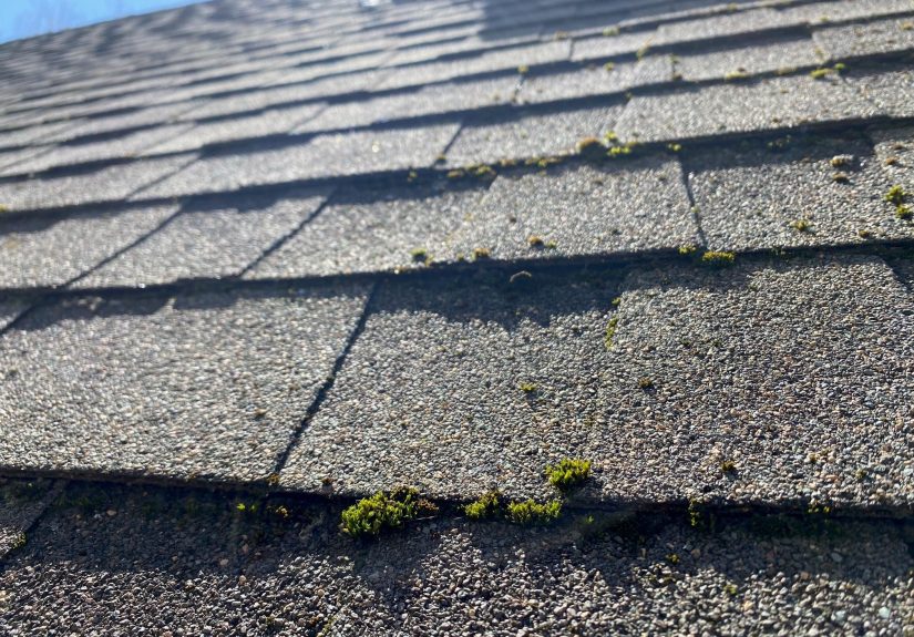 How To Clean Moss Off the Roof