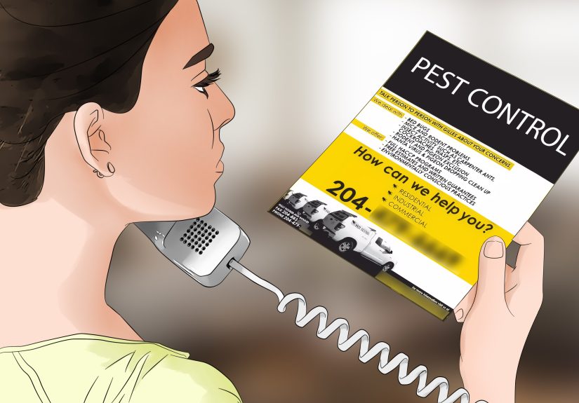 How to Kill Bed Bugs With Steam: 9 Steps
