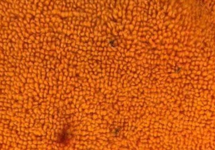 How to Wash Microfiber Towels: Everything You Need to Know