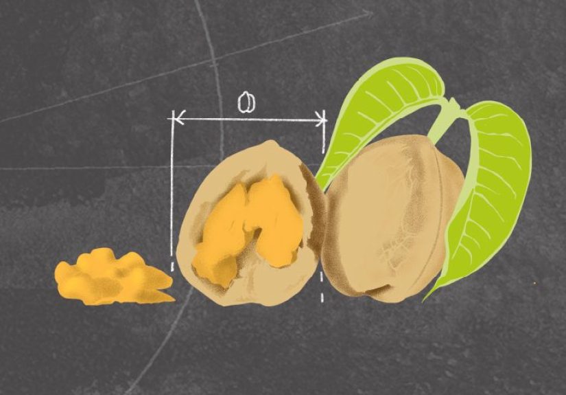 Meal frequency and portion size: What to know