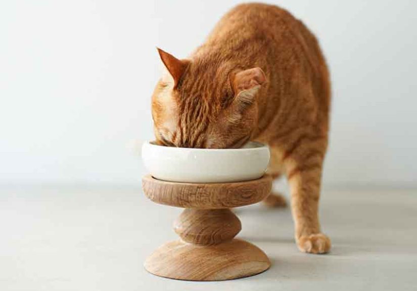 Orneko Food Bowl Stand Set