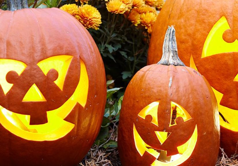 Pumpkin Carving Patterns & Templates