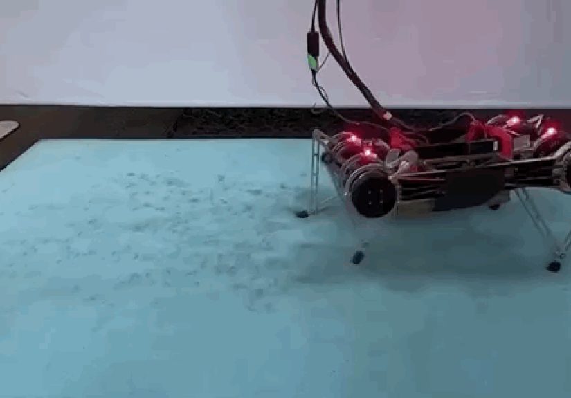 Robot Learning To Walk