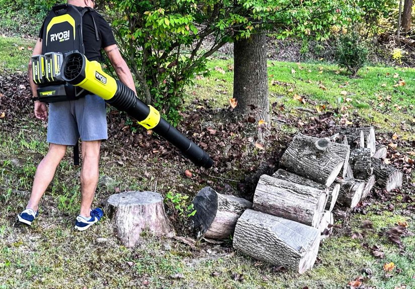 The 5 Best Backpack Leaf Blowers, Tested and Reviewed
