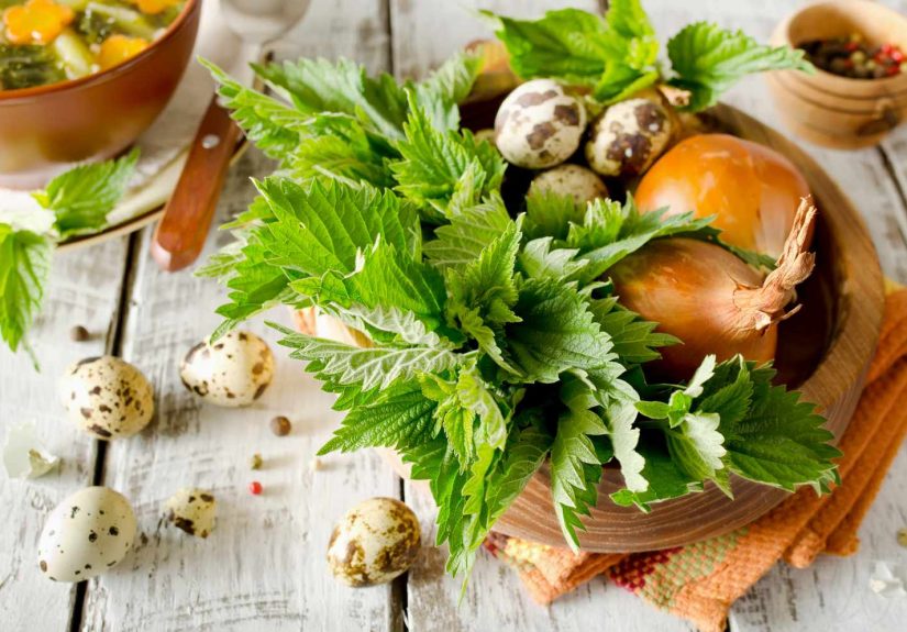 What Is Stinging Nettle and How To Do You Use It?