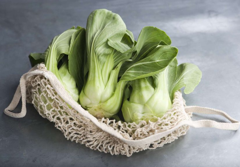10 Bok Choy Recipes That Are Delicious and Easy