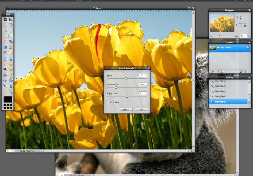 14 Best Free Online Photo Editors (Image Editing Sites)