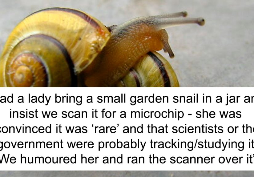 30 Hilarious Stories From Vets About Pets And Their Sometimes Clueless Owners
