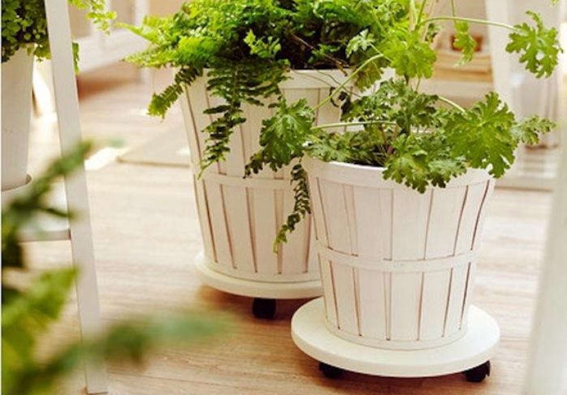 5 Favorites: Rolling Plant Stands