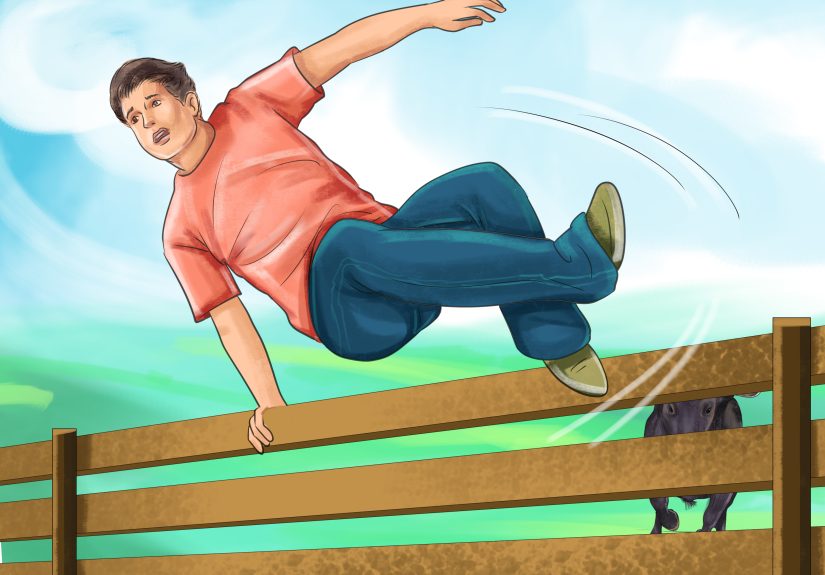 5 Ways to Handle Bulls Safely and Responsibly