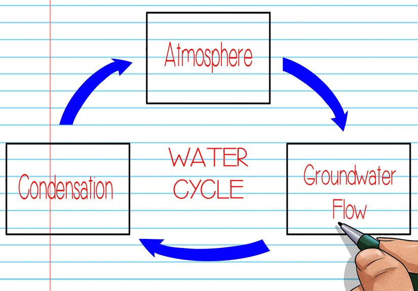 5 Ways to Make a Graphic Organizer