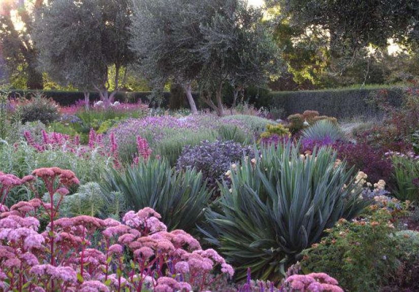 A Garden You Water Four Times a Year