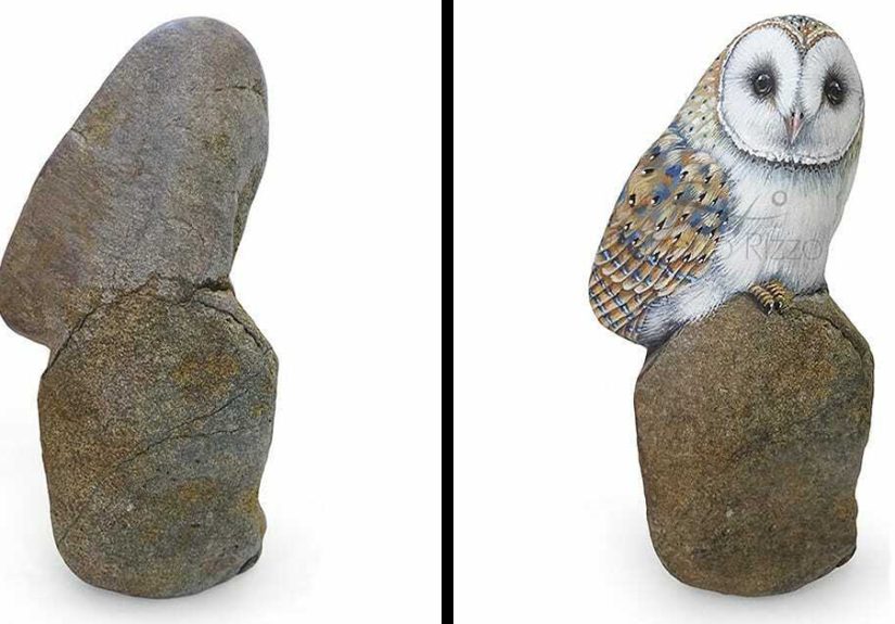 Artist Turns Rocks Into Incredible Animal Paintings (30 Pics)