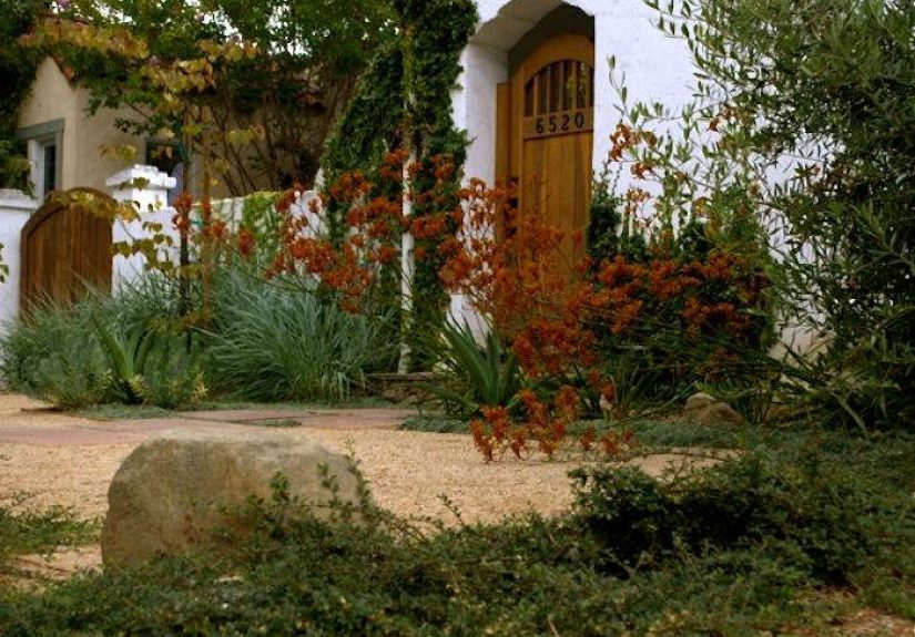 Ask the Landscape Designer: Transforming a Tangle into an Elegant Entry