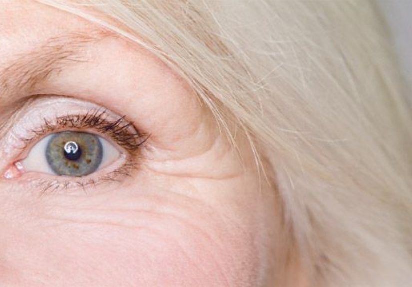 Bacteria in Gut Could Be Cause of Disease in the Eye