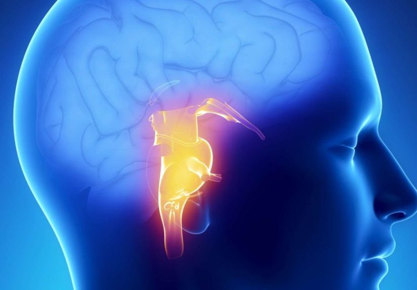 Brain stem stroke: Symptoms, recovery, and outlook