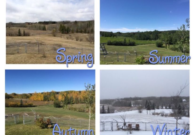 Four Seasons Project