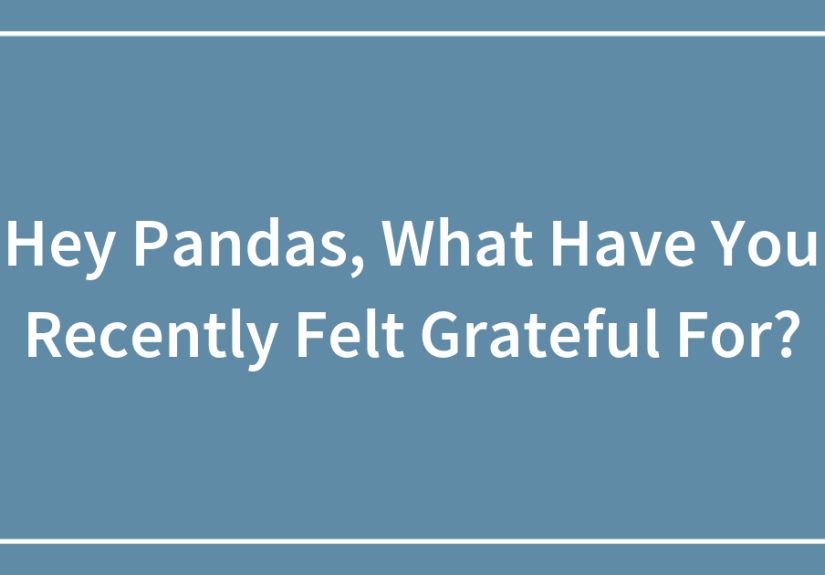 Hey Pandas, What Have You Recently Felt Grateful For?