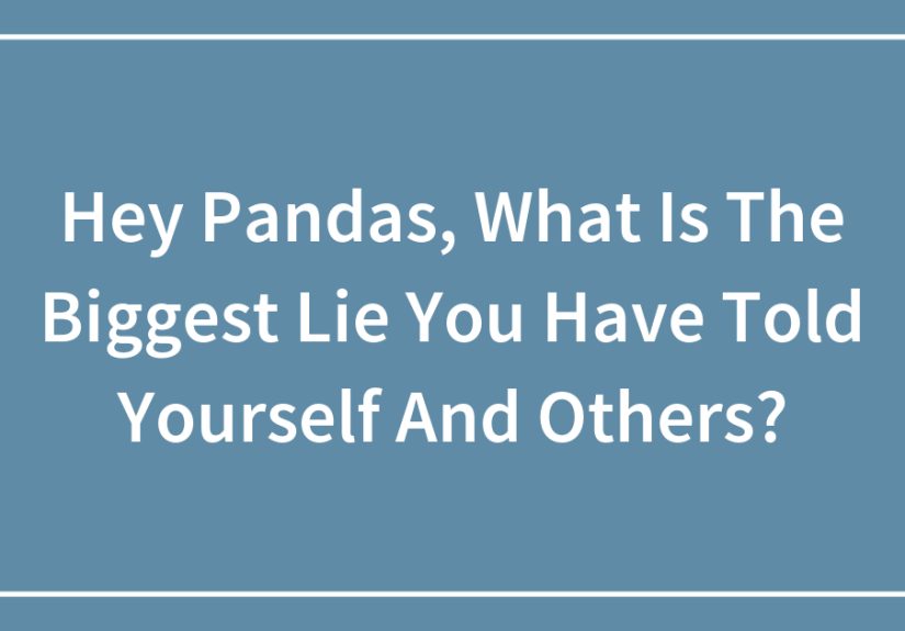 Hey Pandas, What Is The Biggest Lie You Have Told Yourself And Others? (Closed)