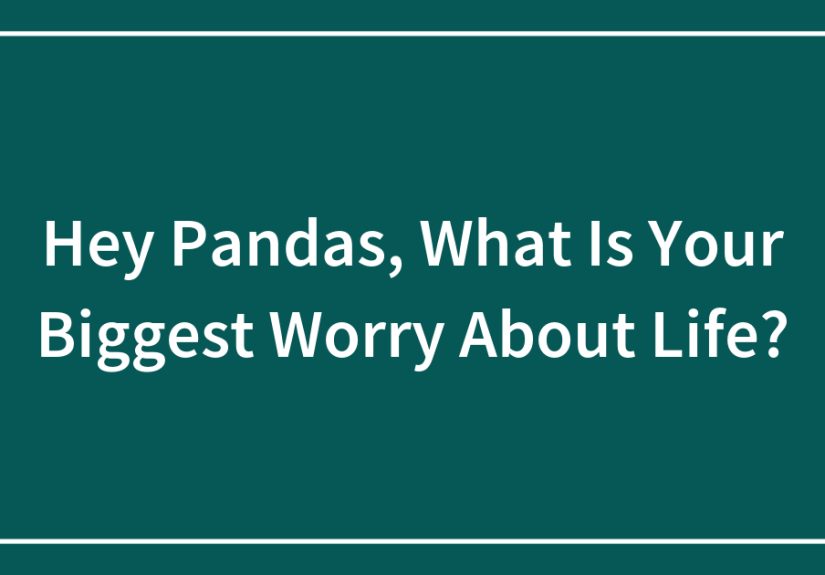 Hey Pandas, What Is Your Biggest Worry About Life? (Closed)
