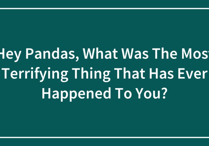 Hey Pandas, What Was The Most Terrifying Thing That Has Ever Happened To You?
