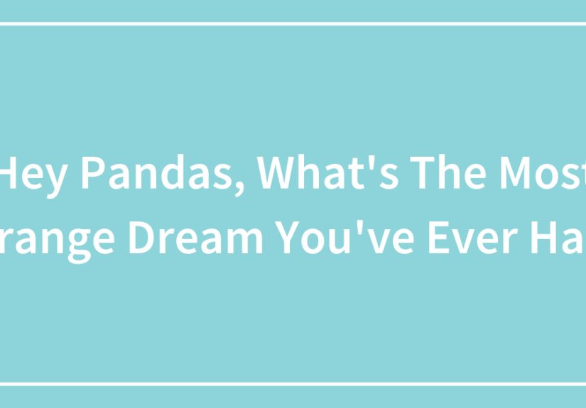 Hey Pandas, What’s The Most Strange Dream You’ve Ever Had?