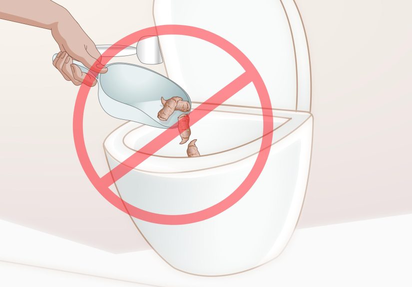 How to Clean Up Dog Waste from a Backyard: 11 Steps