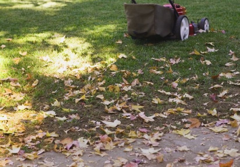 How to Fix a Stuck Lawn Mower Throttle